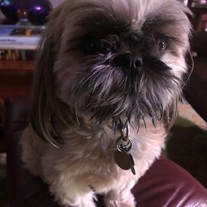 Meet your Posher, Ellie